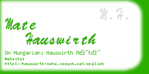mate hauswirth business card